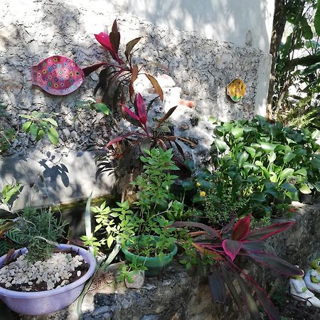 Mayan Bungalow Near Chichen المظهر الخارجي الصورة