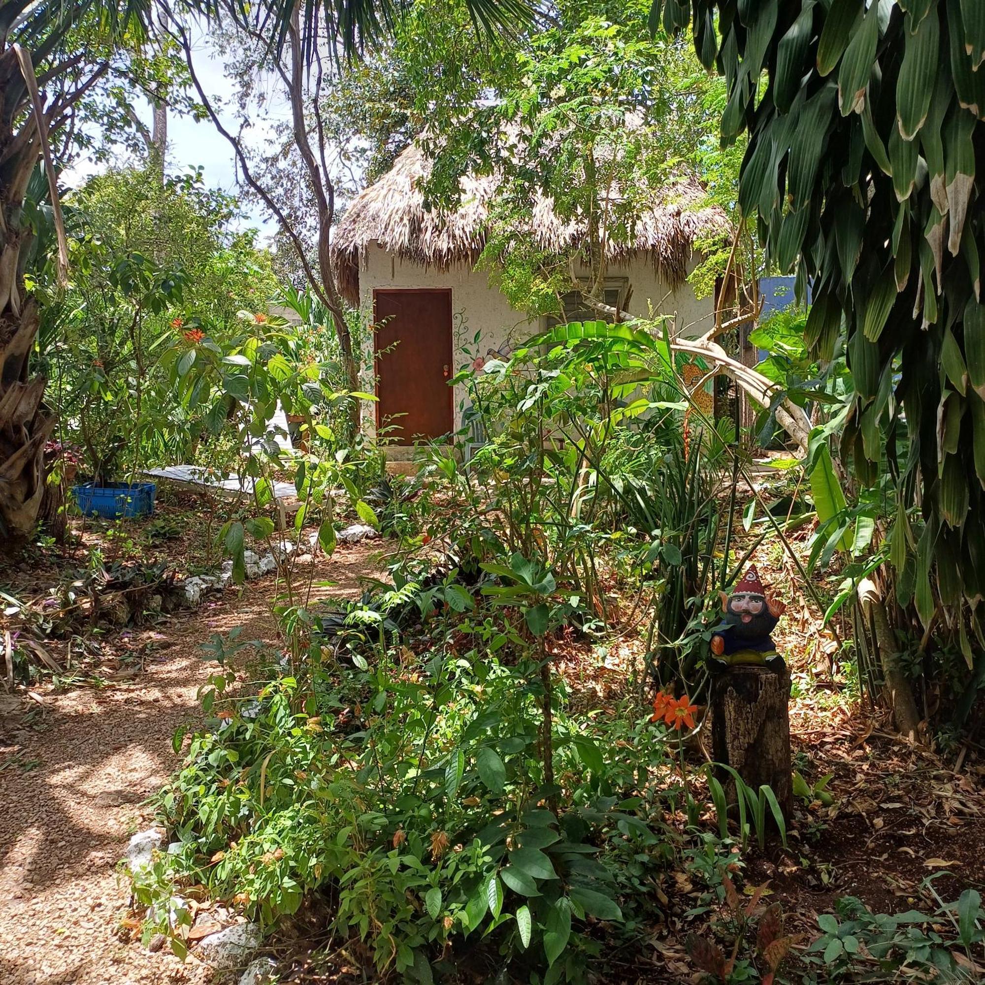 Mayan Bungalow Near Chichen المظهر الخارجي الصورة