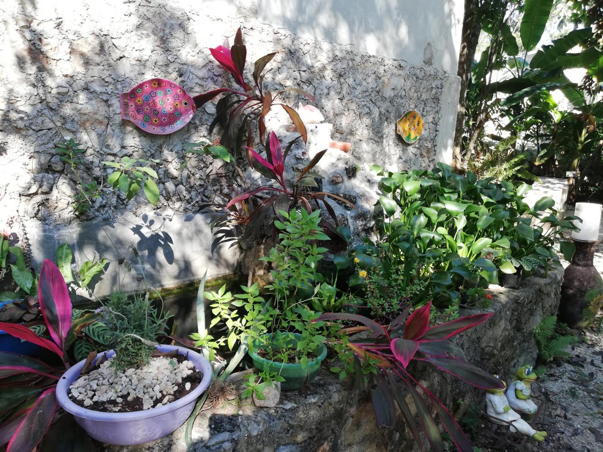 Mayan Bungalow Near Chichen المظهر الخارجي الصورة