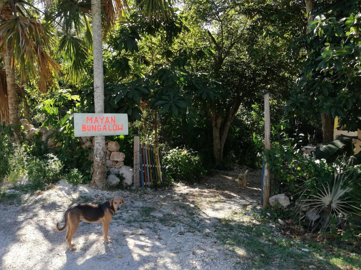 Mayan Bungalow Near Chichen المظهر الخارجي الصورة